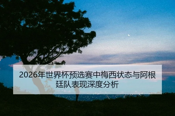 nian-shi-jie-bei-yu-xuan-sai-zhong-mei-xi-zhuang-tai-yu-a-gen-ting-dui-biao-xian-shen-du-fen-xi-2-863.jpg